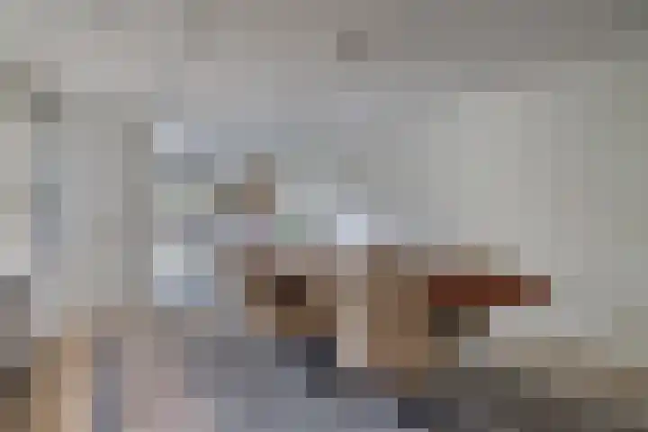 Bolero 69 Zwijndrecht thumbnail 13