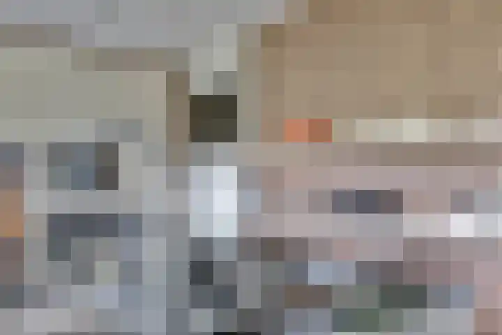 Bolero 69 Zwijndrecht thumbnail 18