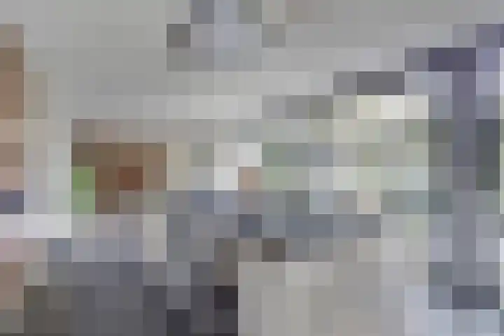 Bolero 69 Zwijndrecht thumbnail 20