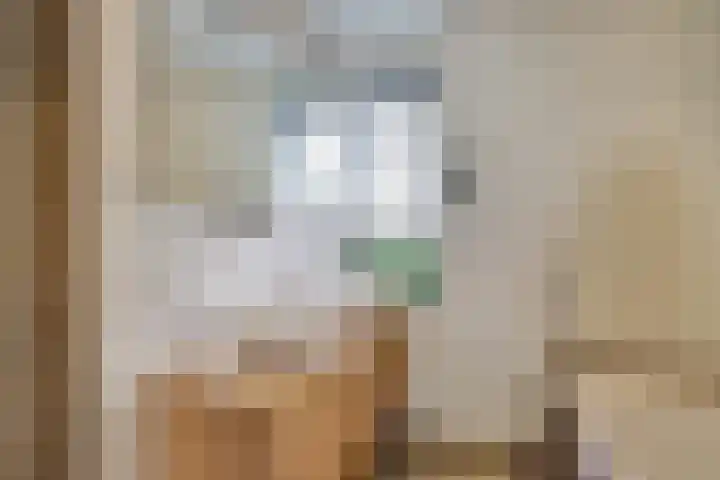 Bolero 69 Zwijndrecht thumbnail 30