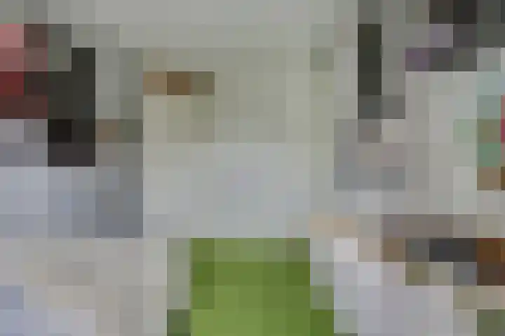 Bolero 69 Zwijndrecht thumbnail 34