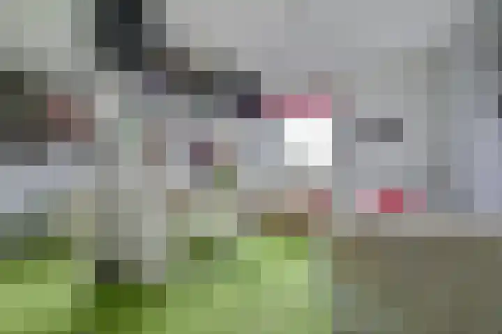 Bolero 69 Zwijndrecht thumbnail 35