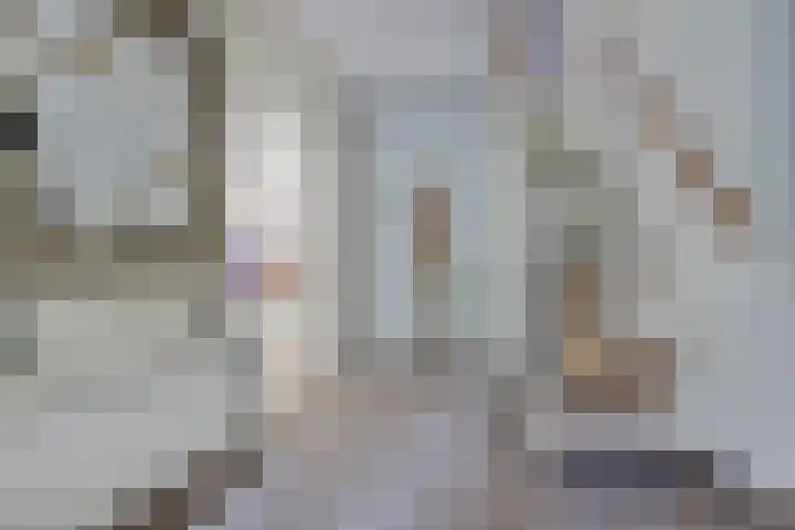 Bolero 69 Zwijndrecht thumbnail 4