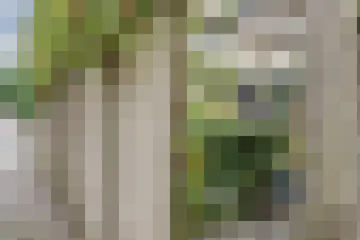 Bolero 69 Zwijndrecht thumbnail 43