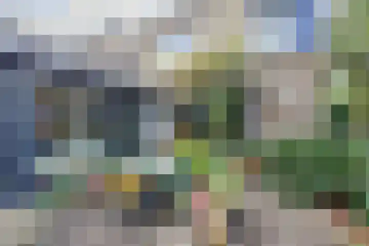 Bolero 69 Zwijndrecht thumbnail 51