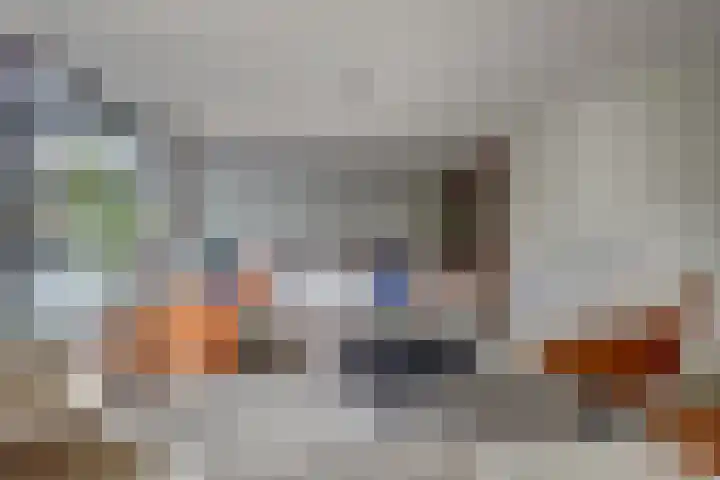 Bolero 69 Zwijndrecht thumbnail 8