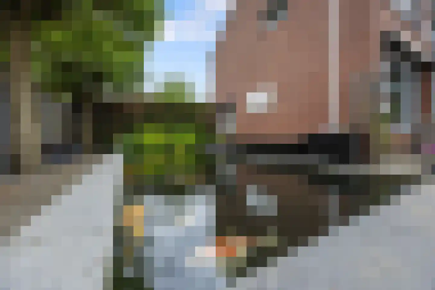 Bolerostraat 11 Nijmegen thumbnail 46