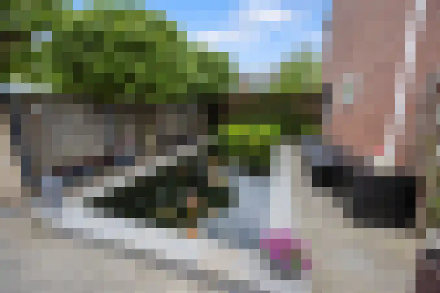 Bolerostraat 11 Nijmegen thumbnail 9