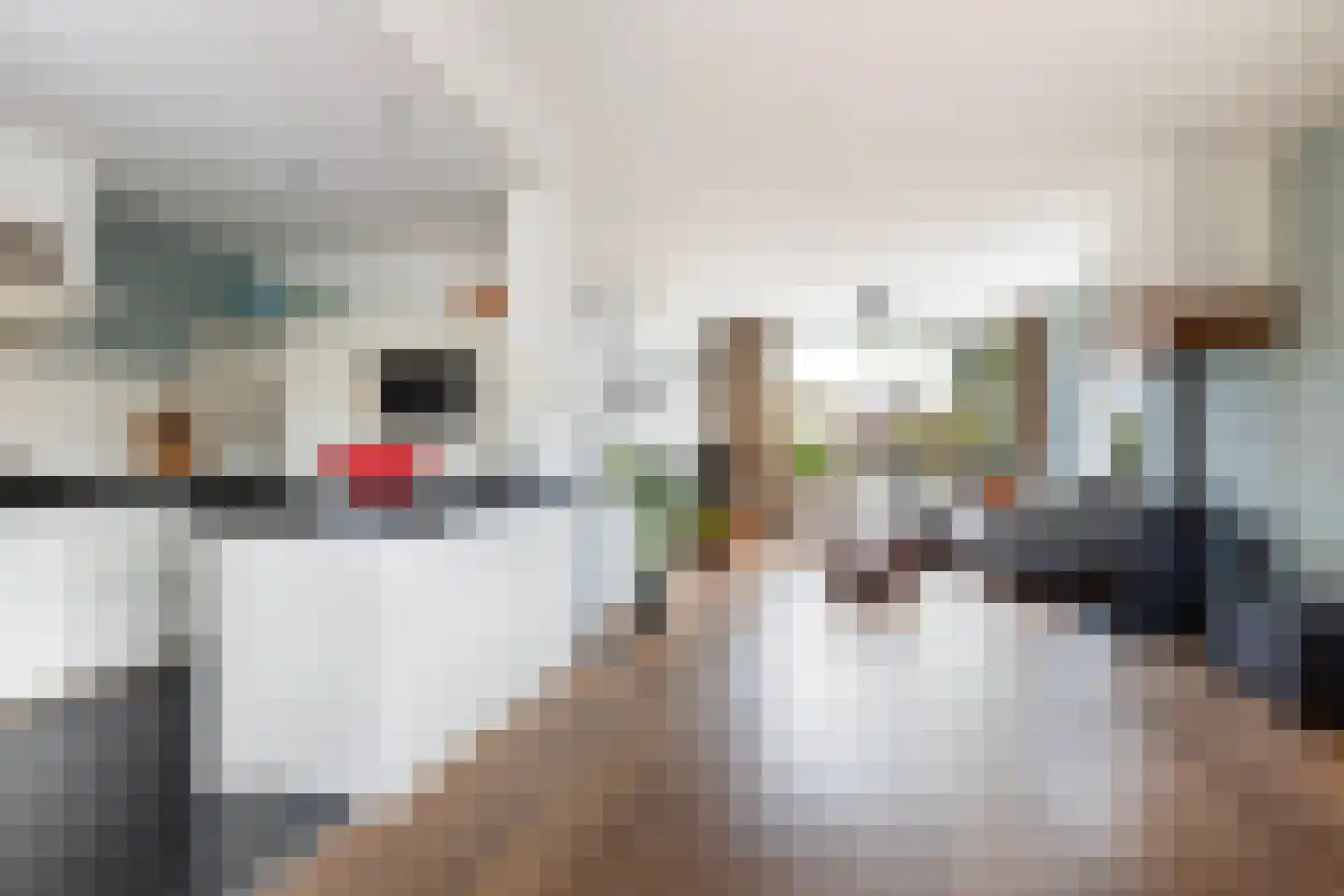 Bolerostraat 8 Apeldoorn thumbnail 12