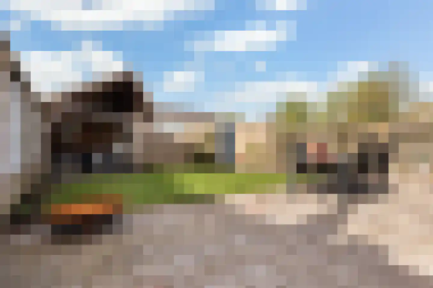 Bolerostraat 8 Apeldoorn thumbnail 19