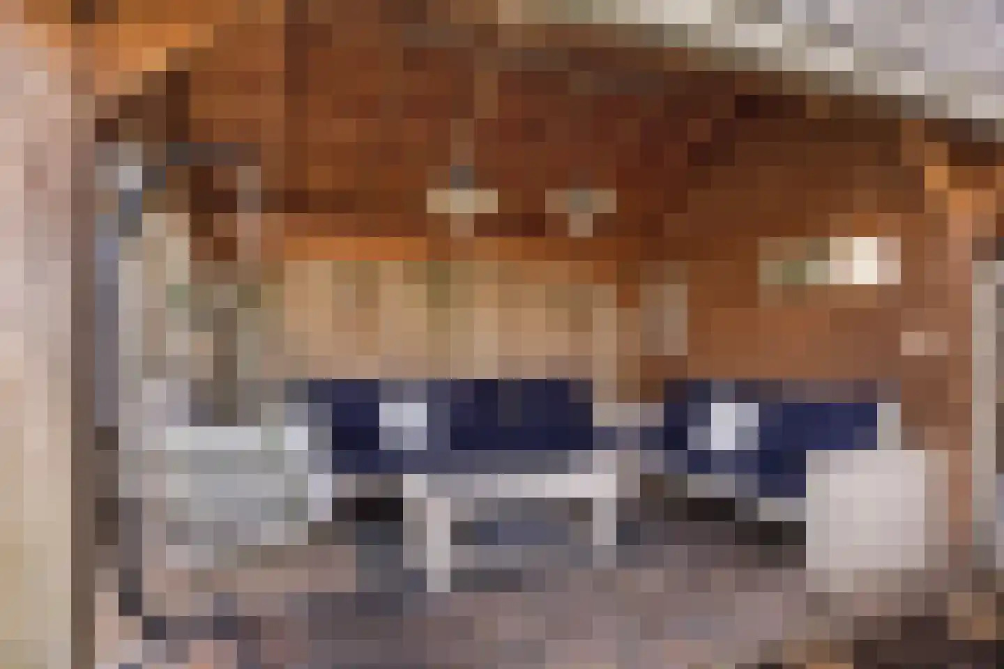 Bolerostraat 8 Apeldoorn thumbnail 21