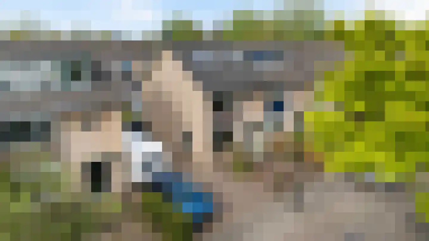 Bolerostraat 8 Apeldoorn thumbnail 38
