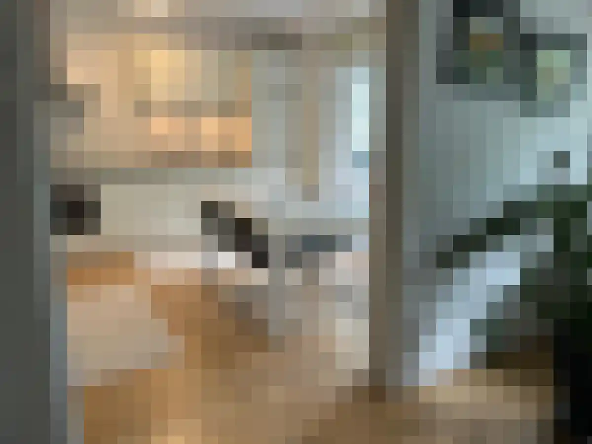 Bolestein 116 Amsterdam thumbnail 6