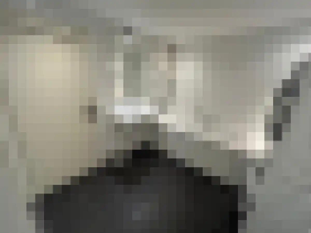 Bolestein 116 Amsterdam thumbnail 7