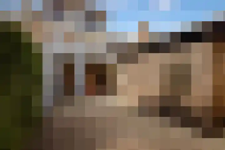 Bolestein 13 A Amsterdam thumbnail 16