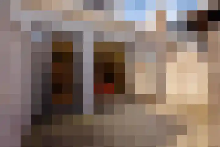 Bolestein 13 A Amsterdam thumbnail 17