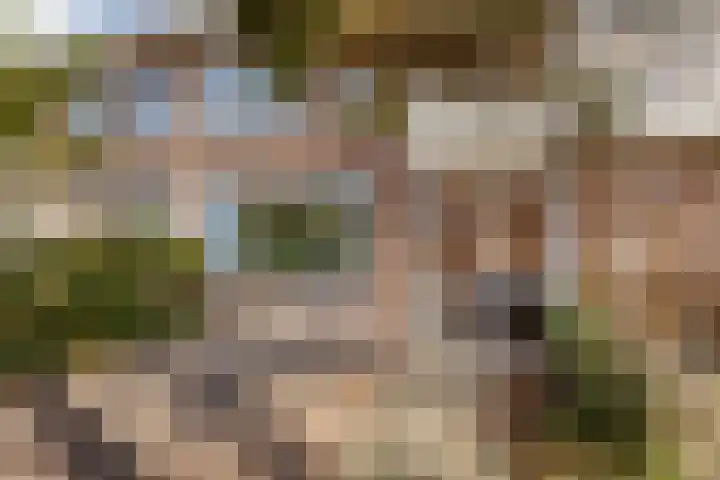 Bolestein 13 A Amsterdam thumbnail 19