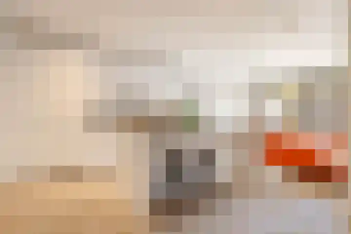 Bolestein 13 A Amsterdam thumbnail 9