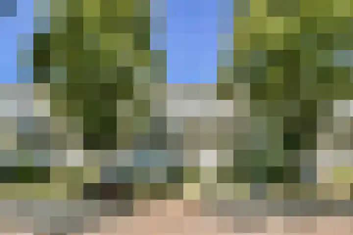 Bolestein 160 Amsterdam thumbnail 21