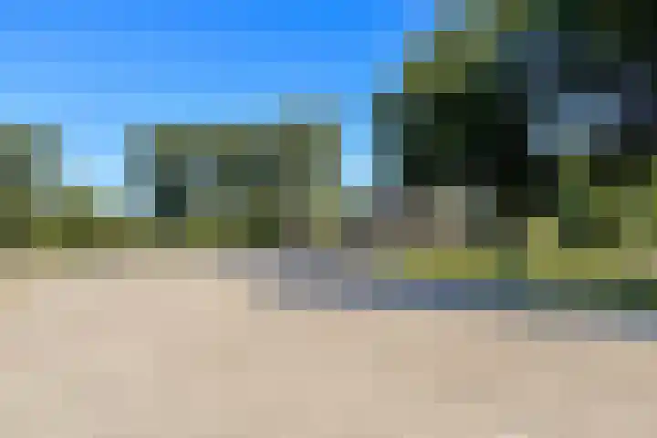 Bolestein 160 Amsterdam thumbnail 23