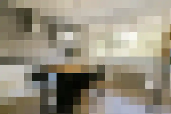Bolestein 160 Amsterdam thumbnail 6