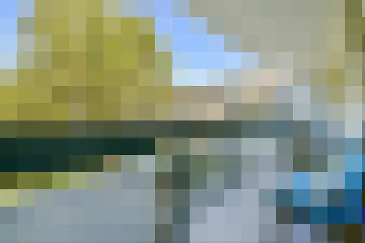Bolestein 160 Amsterdam thumbnail 8
