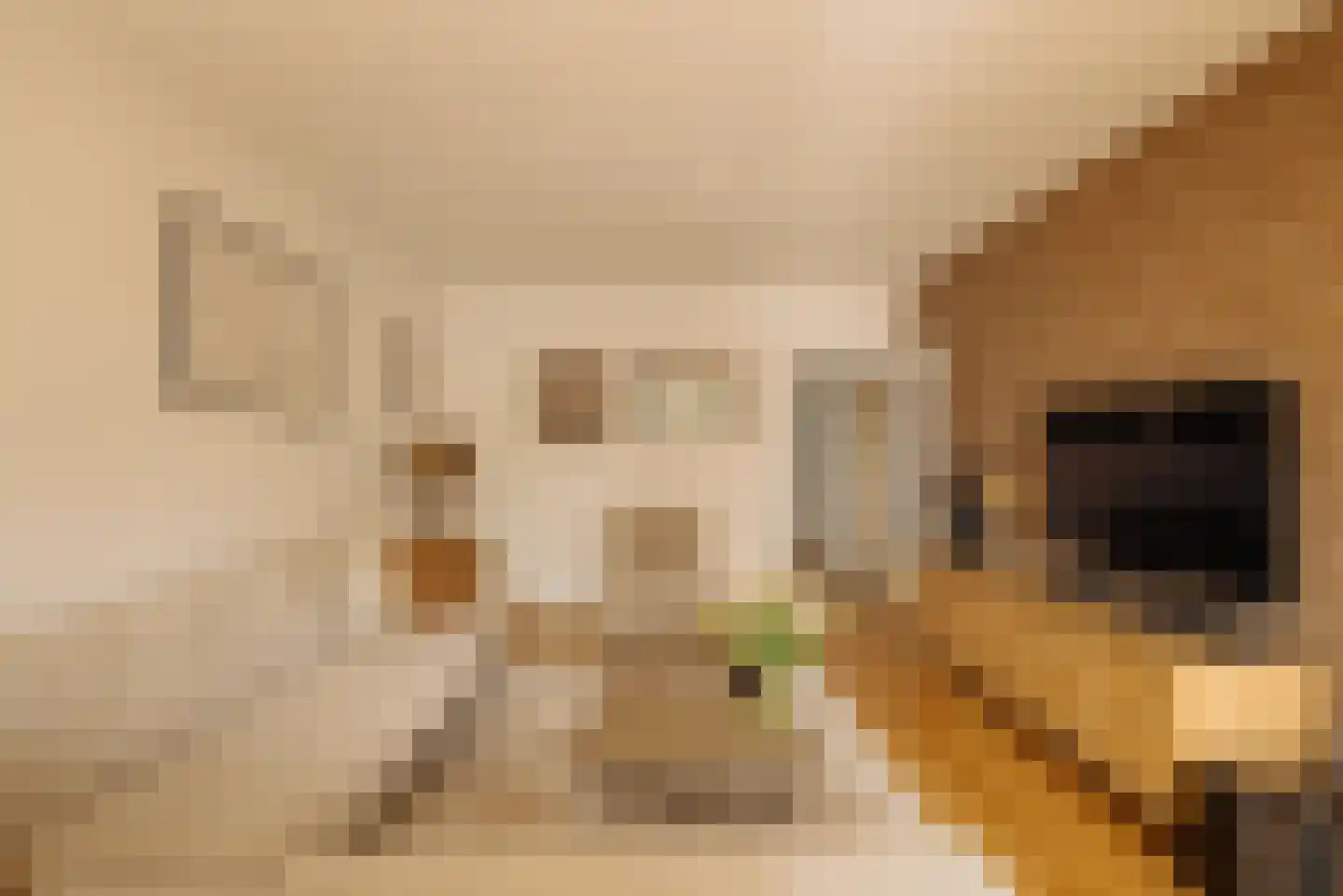 Bolestein 184 Amsterdam thumbnail 13