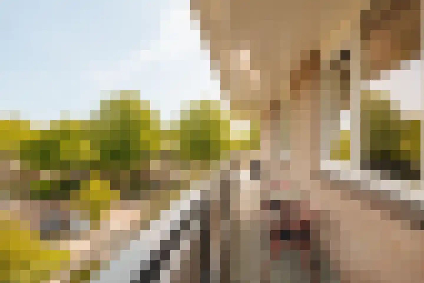 Bolestein 184 Amsterdam thumbnail 19