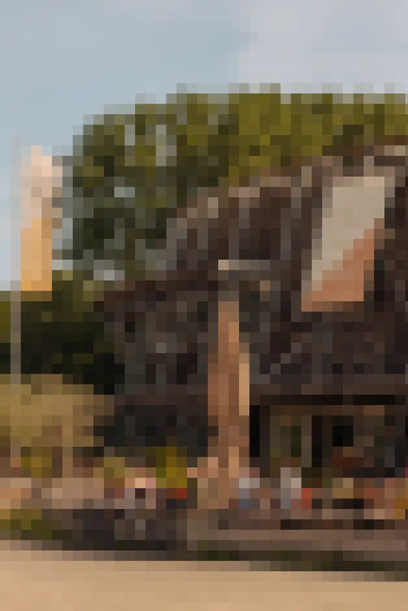 Bolestein 184 Amsterdam thumbnail 27