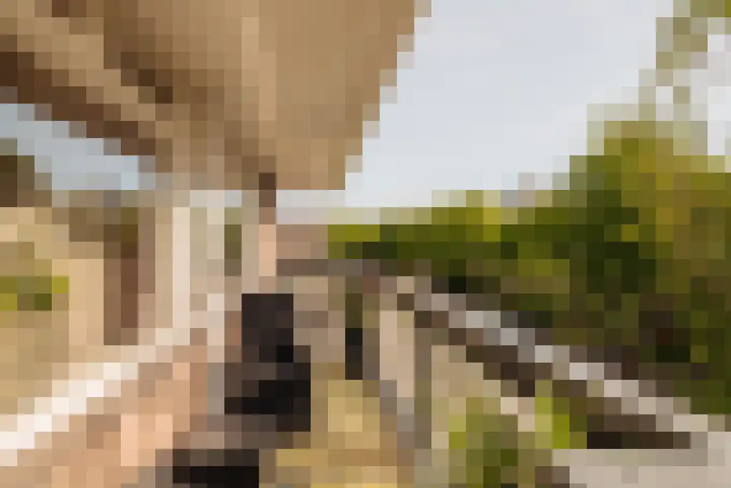 Bolestein 184 Amsterdam thumbnail 6