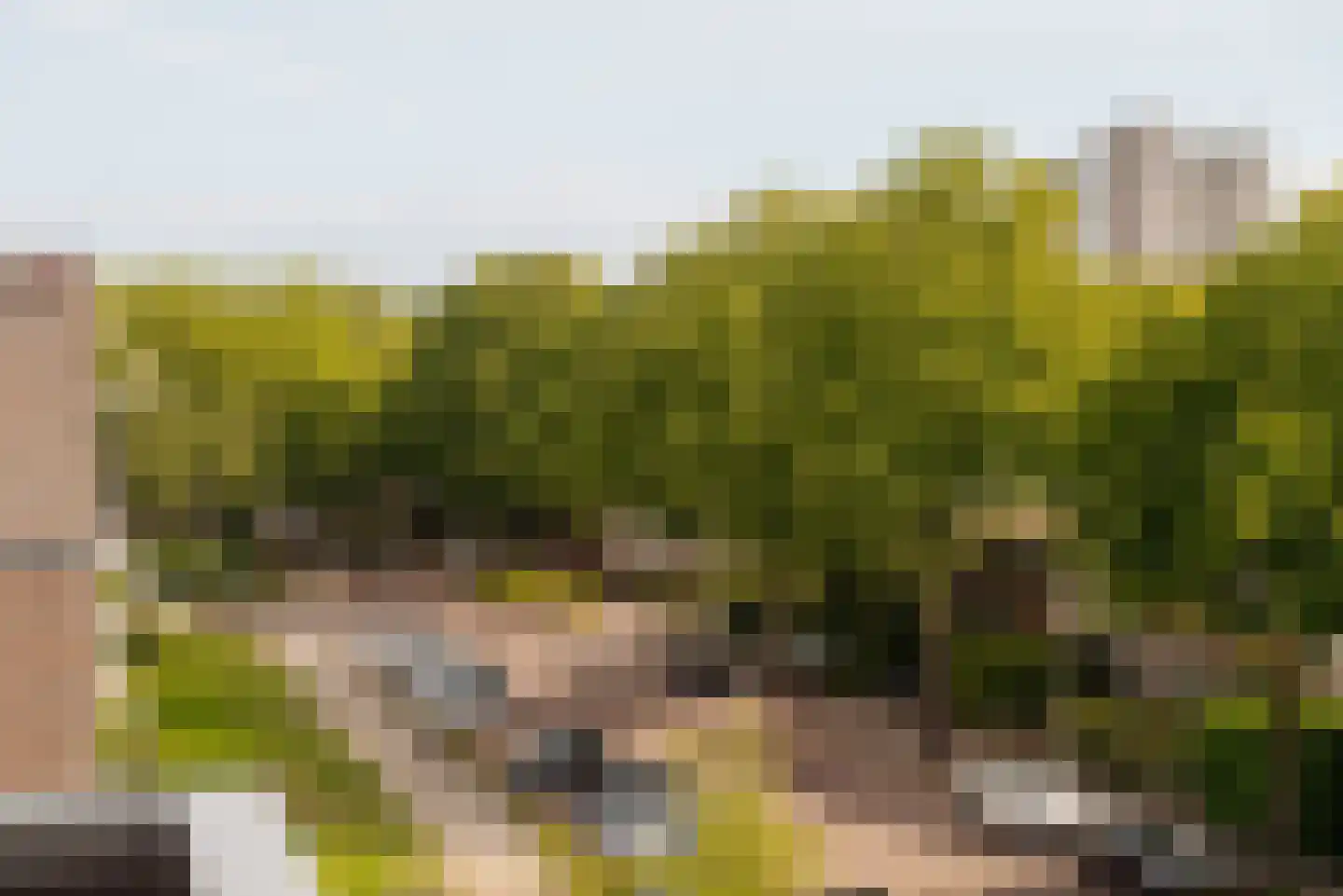 Bolestein 184 Amsterdam thumbnail 7