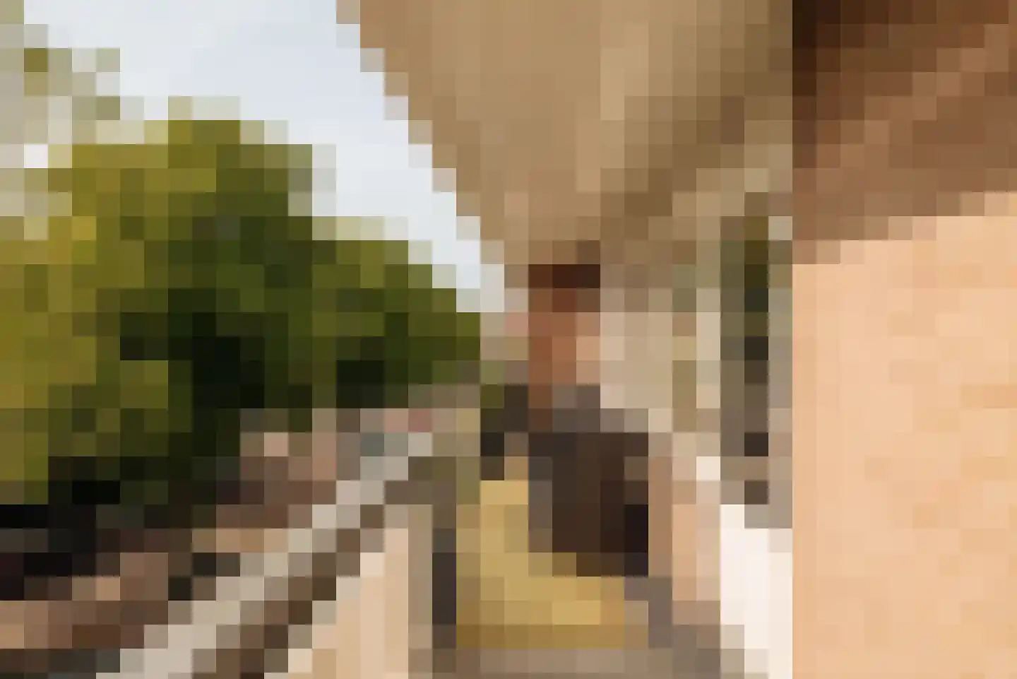 Bolestein 184 Amsterdam thumbnail 8