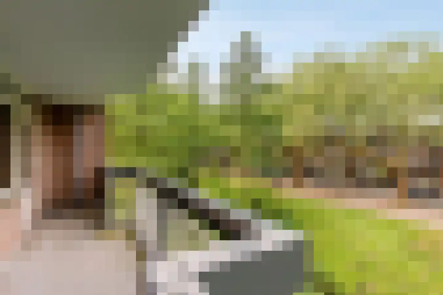 Bolestein 238 Amsterdam thumbnail 10