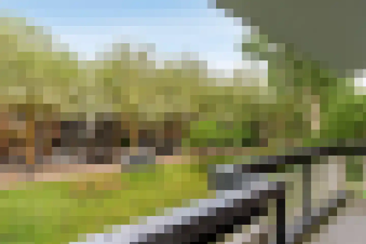Bolestein 238 Amsterdam thumbnail 12