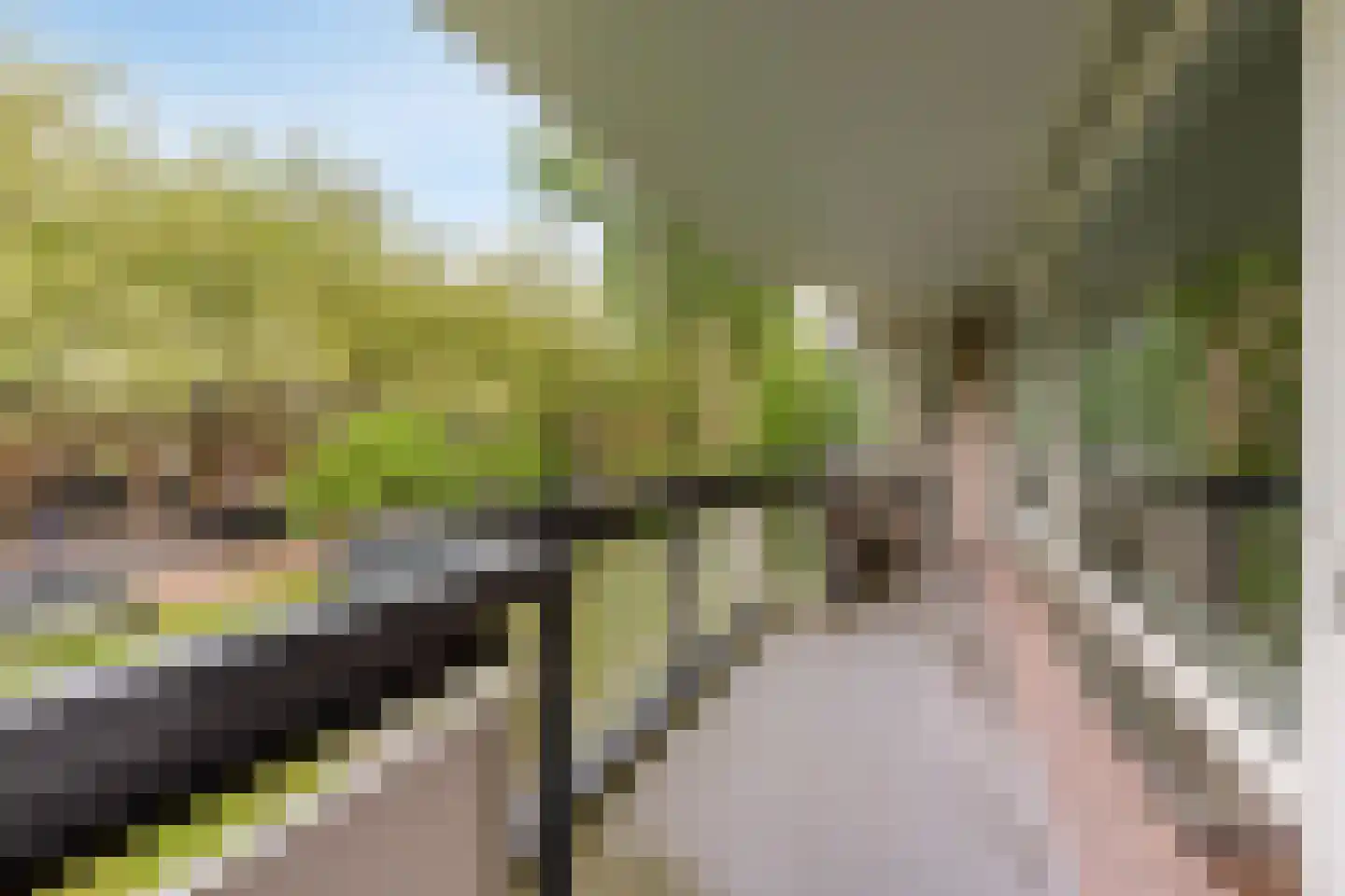 Bolestein 238 Amsterdam thumbnail 13