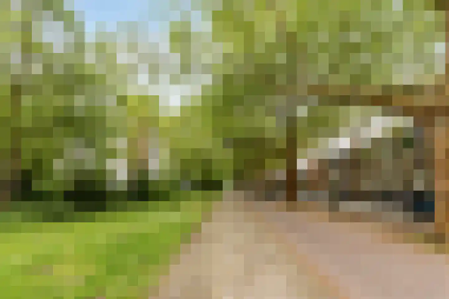 Bolestein 238 Amsterdam thumbnail 33