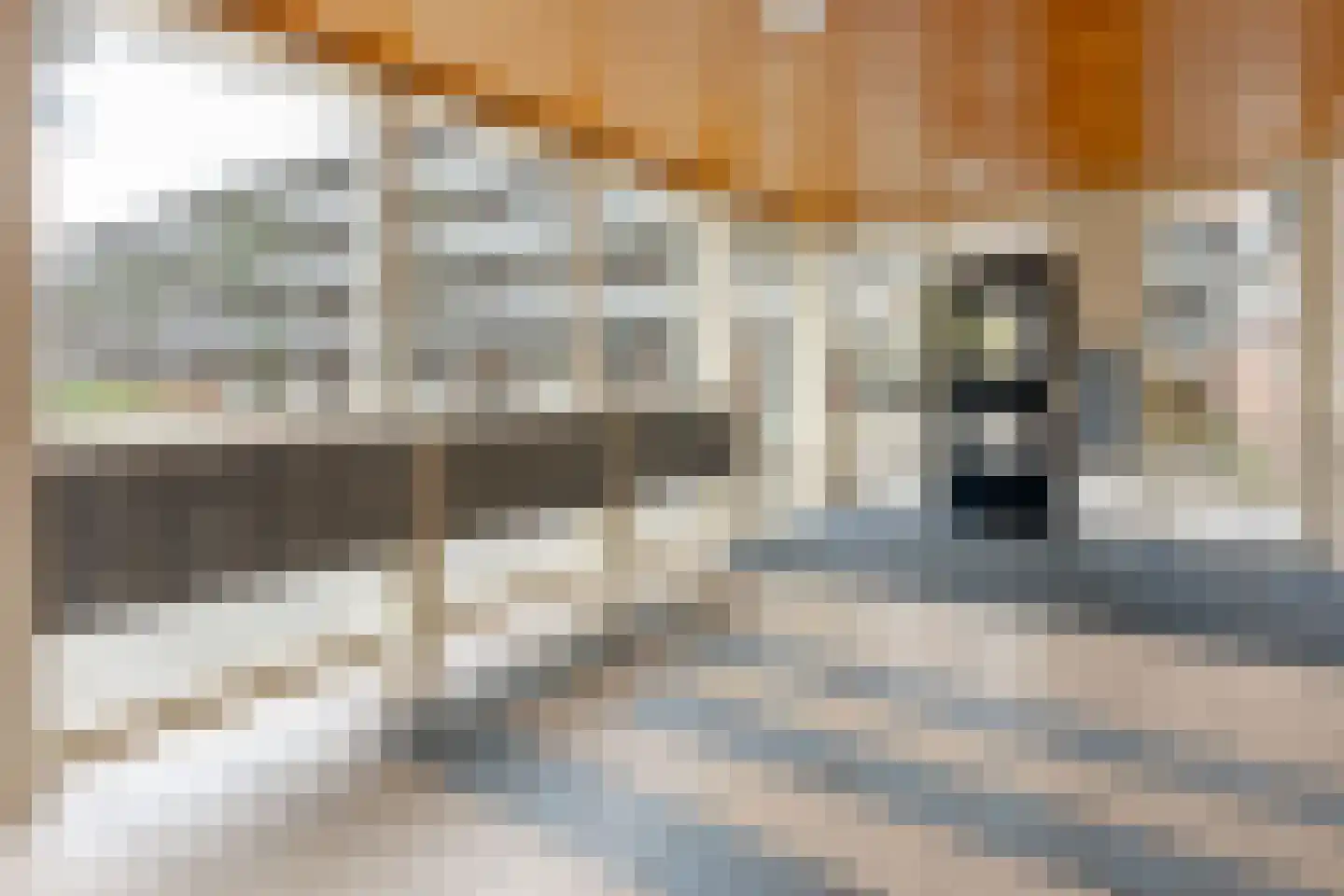 Bolestein 256 Amsterdam thumbnail 18