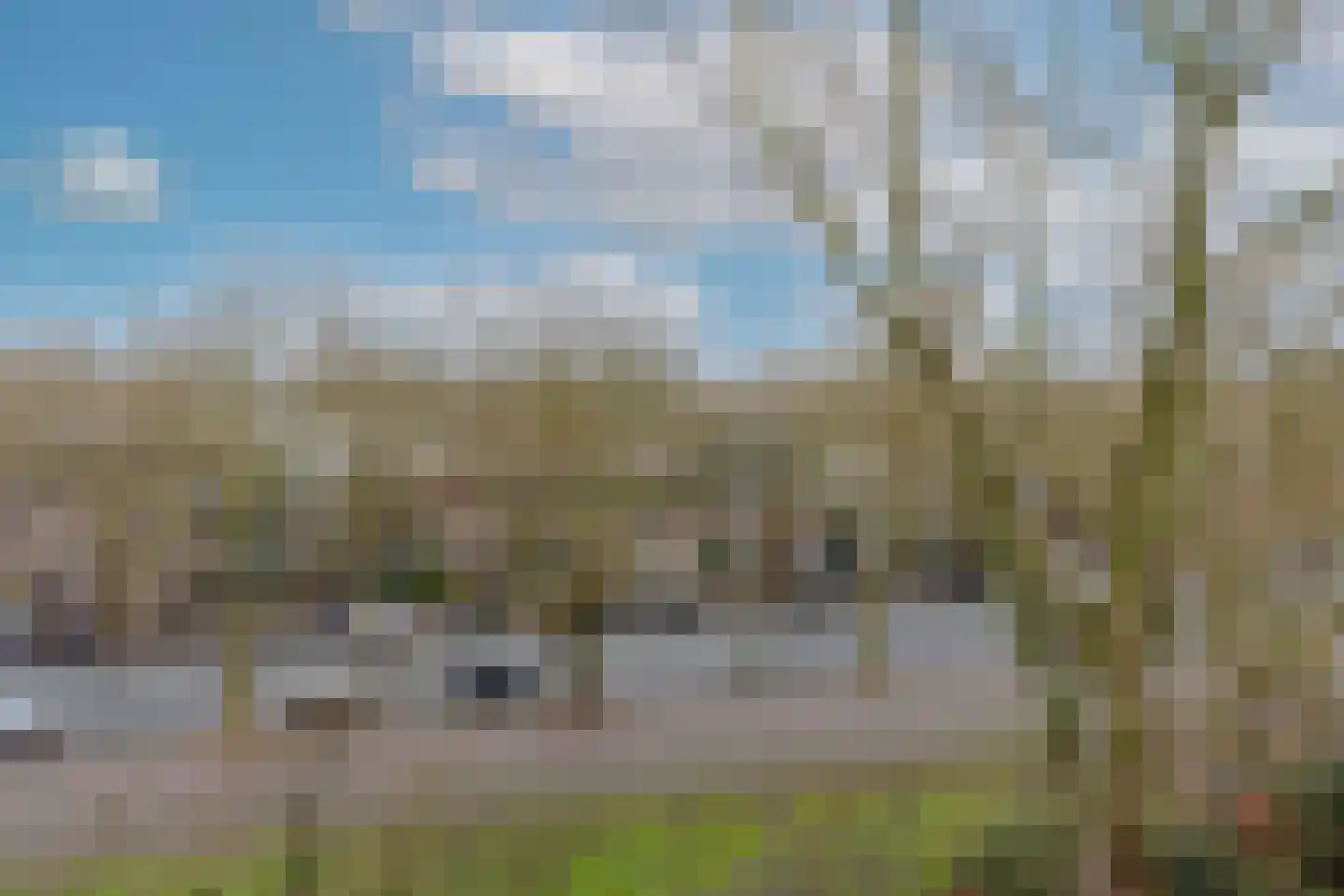 Bolestein 256 Amsterdam thumbnail 23