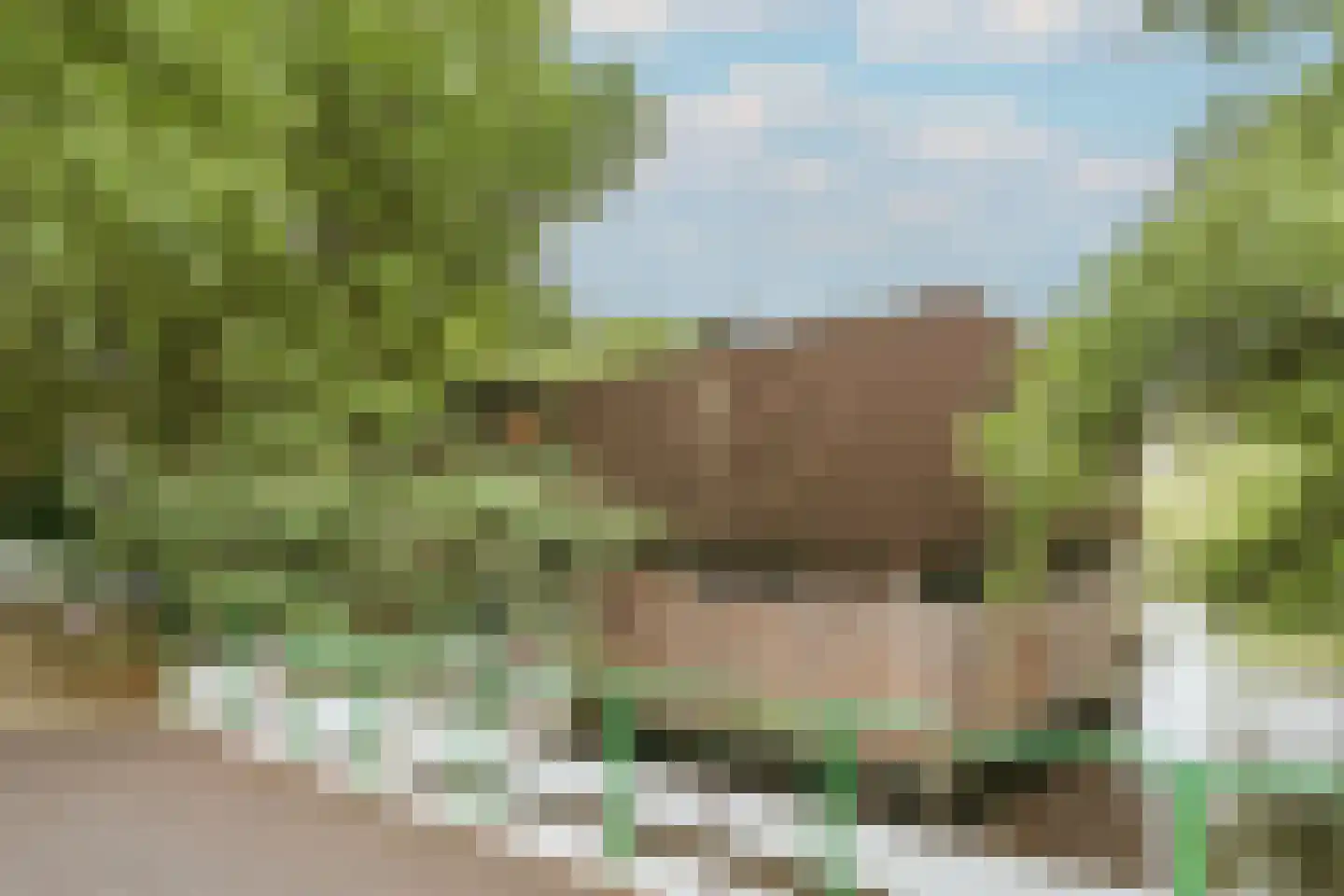 Bolestein 256 Amsterdam thumbnail 30
