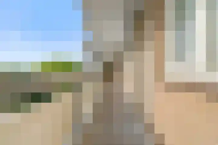 Bolestein 264 Amsterdam thumbnail 17