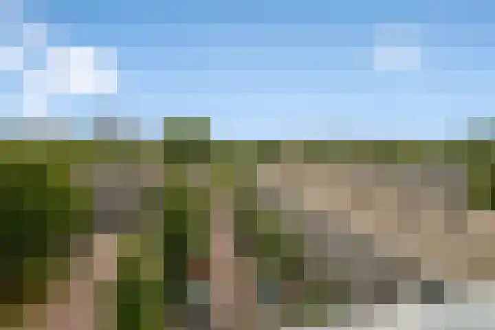 Bolestein 264 Amsterdam thumbnail 18