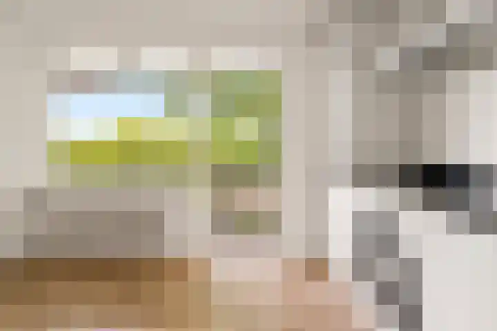 Bolestein 264 Amsterdam thumbnail 7