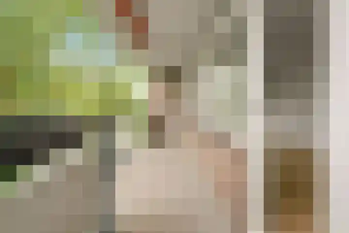 Bolestein 264 Amsterdam thumbnail 9