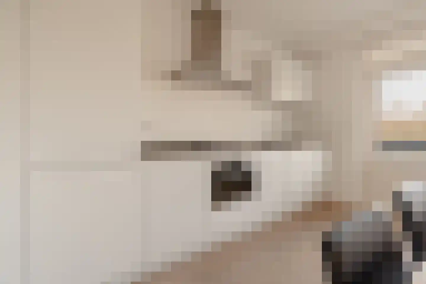Bolestein 266 Amsterdam thumbnail 11
