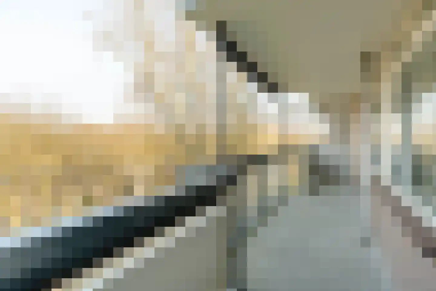 Bolestein 266 Amsterdam thumbnail 13