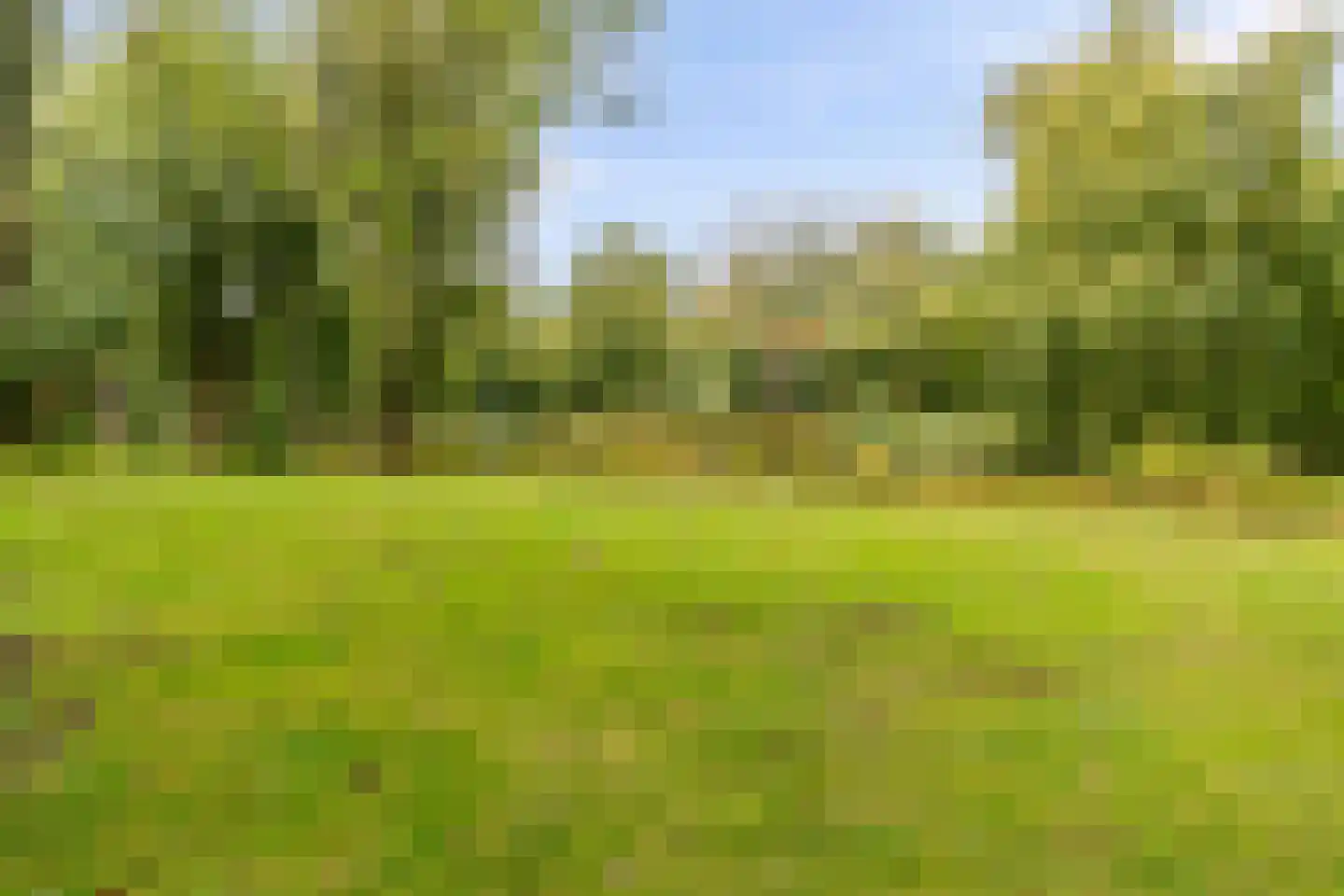 Bolestein 266 Amsterdam thumbnail 34