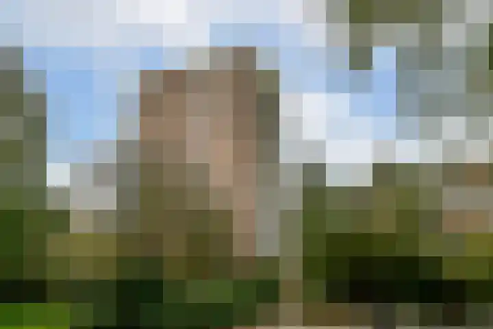 Bolestein 280 Amsterdam thumbnail 28