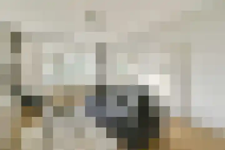 Bolestein 280 Amsterdam thumbnail 9
