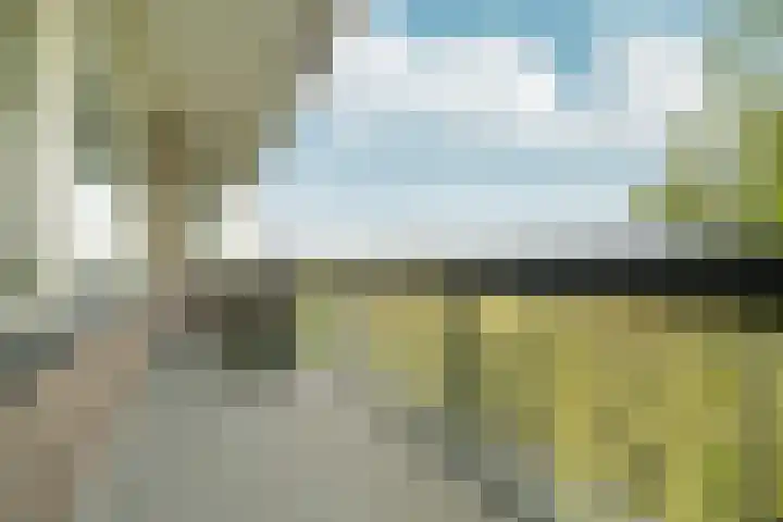 Bolestein 288 Amsterdam thumbnail 12