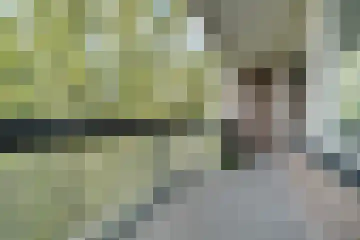 Bolestein 288 Amsterdam thumbnail 13